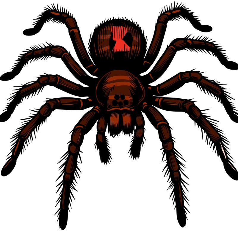 realistic spider