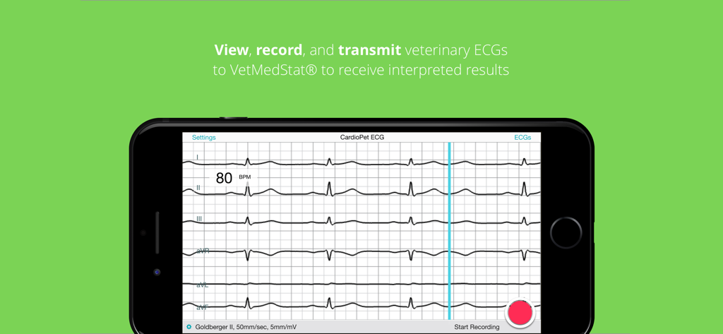 Smartphone screen displaying a six-lead veterinary ECG recording on the IDEXX CardioPet app interface.