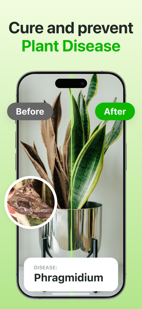 Plant Identifier & Care App - Pantalla de la aplicación Botan que muestra la identificación de enfermedades de plantas y una comparación de antes y después de la cura