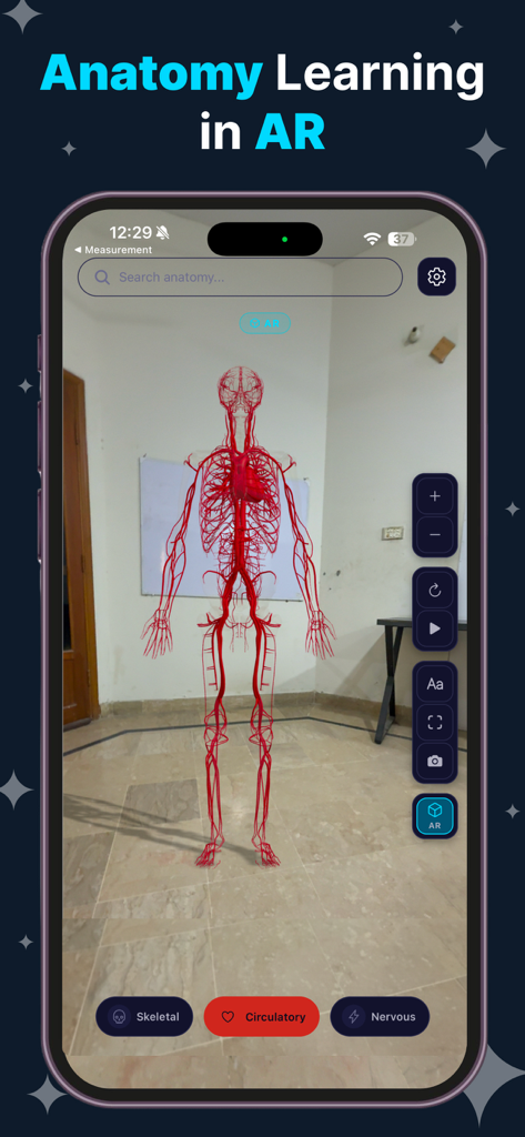 3D-Modell des menschlichen Kreislaufsystems, dargestellt in Augmented Reality auf einem Smartphone.