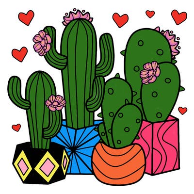 flowers_24_new