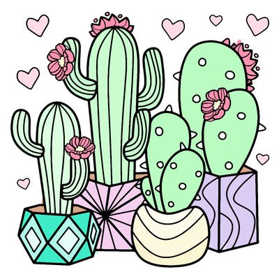 flowers_24_new