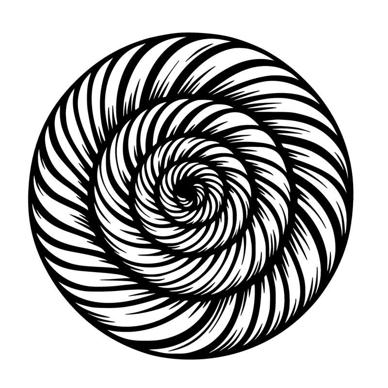 detailed spiral illusion