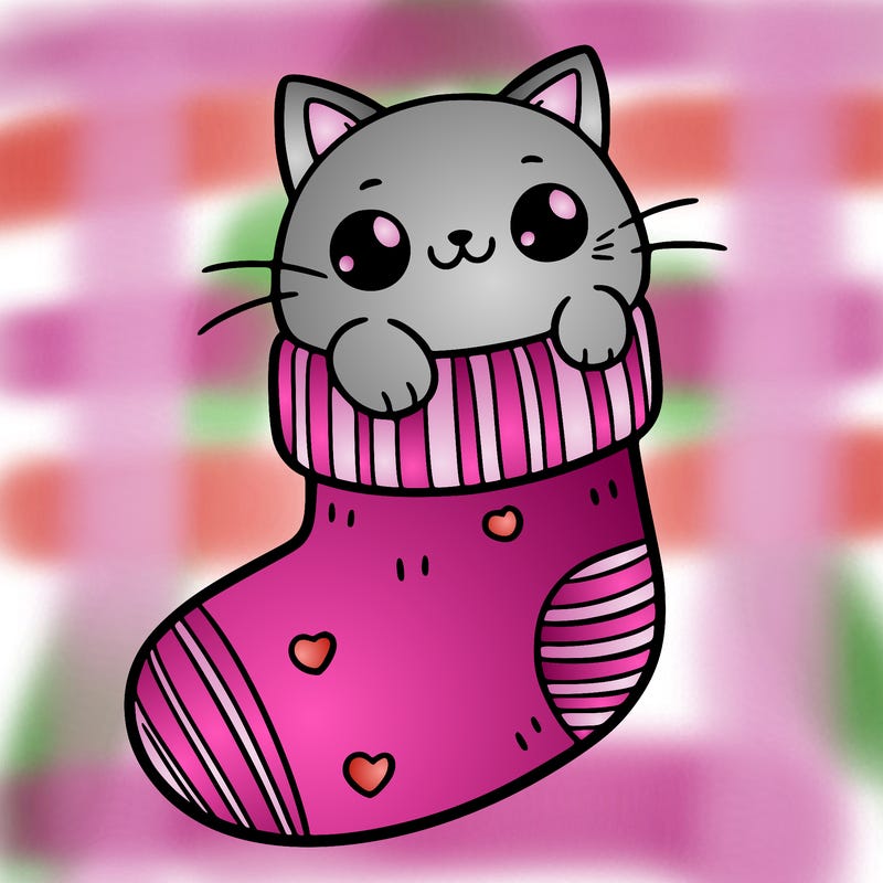 cute cat in a sock