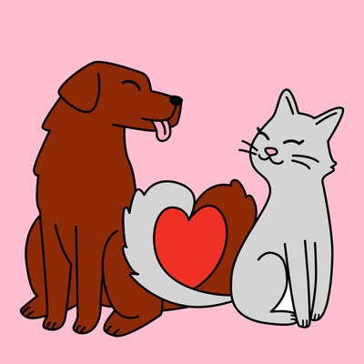animals_22