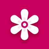 Gallery – Photo Vault