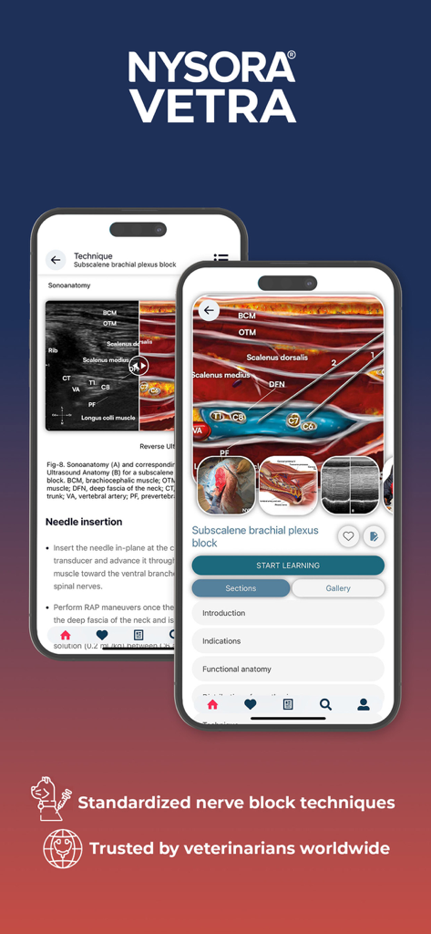 NYSORA VetRA - Interfaccia dell'app NYSORA VetRA che mostra tecniche di blocco nervoso ecoguidato e illustrazioni anatomiche per veterinari
