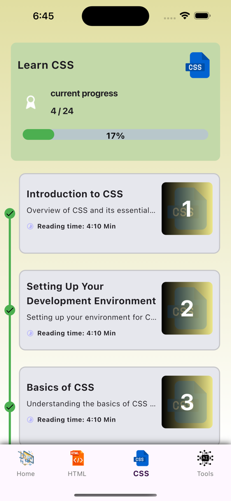 HTML & CSS For Beginners 2024 - Interfaccia che mostra un elenco di lezioni CSS e una barra di avanzamento completata al diciassette percento