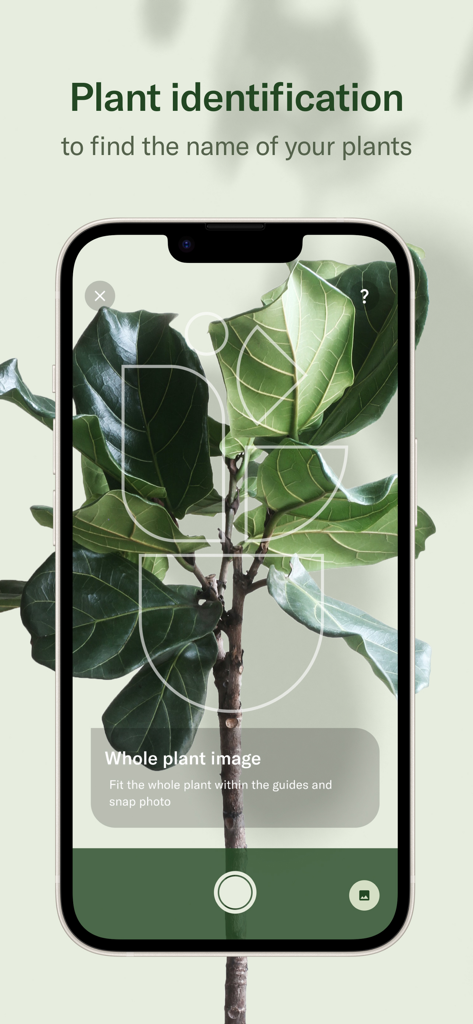 Planta: Plant & Garden Care - Smartphone screen showing the Planta app plant identification feature using a camera to scan a leafy houseplant