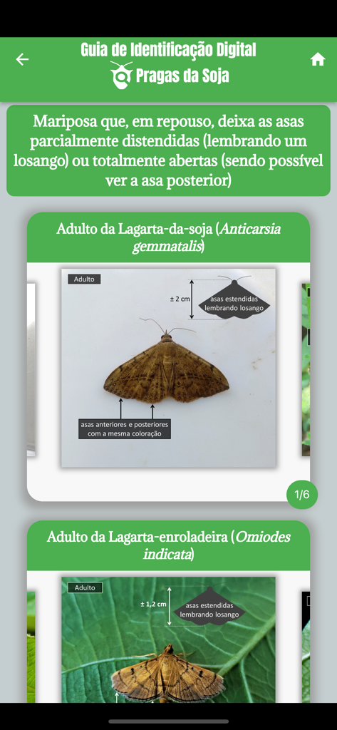 GID Pragas da Soja - Una pantalla de aplicación móvil que muestra imágenes de diagnóstico para identificar polillas de plagas de la soja.