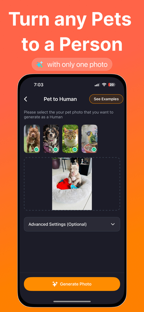 AI Pet Dance - Petlify Video - Uma tela de smartphone exibindo o recurso Pet para Humano no aplicativo Petlify, onde os usuários podem selecionar uma foto de pet para gerar uma versão humana