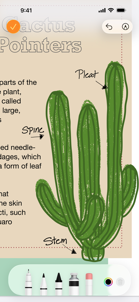 Diagramma di cactus annotato nell'app Pages che mostra gli strumenti di disegno.