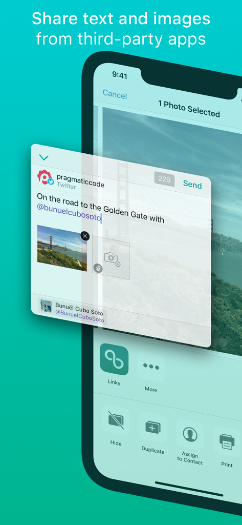Linky iOS share extension interface for sharing text and images from other apps