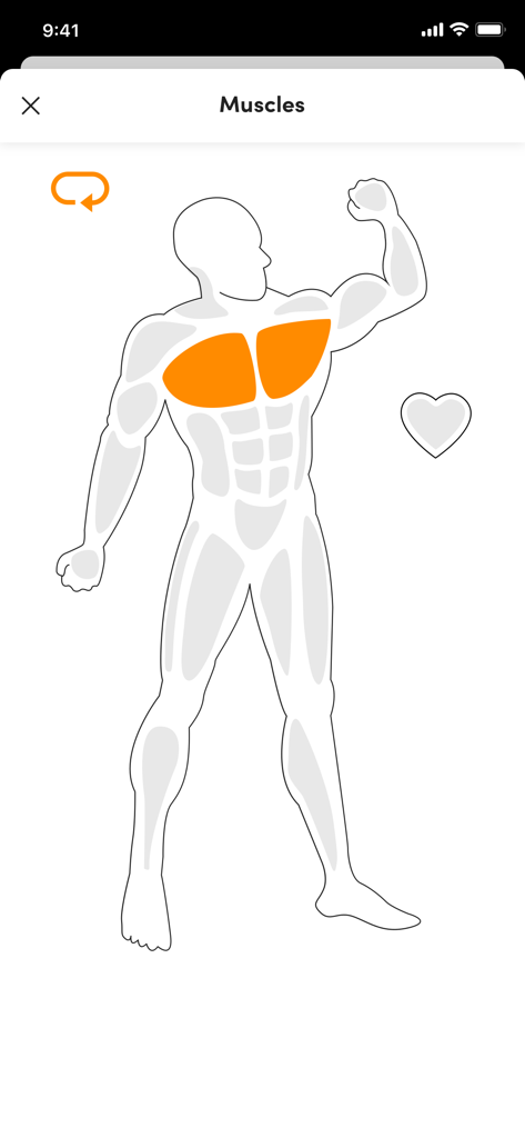 Diagrama de seguimiento muscular con los músculos del pecho resaltados en naranja
