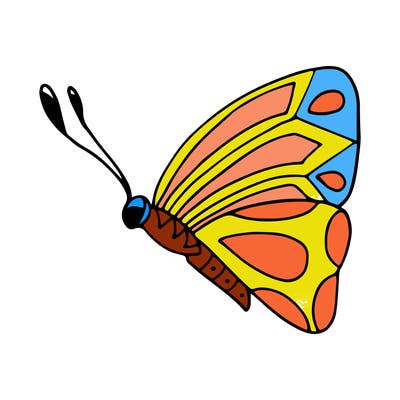 animals_02