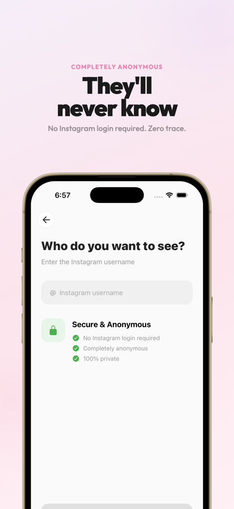 Red Flag: Track Recent Follows - Red Flag app interface for anonymous Instagram username lookup with secure privacy features