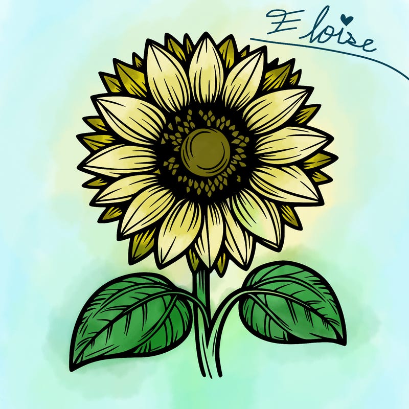 sunflower