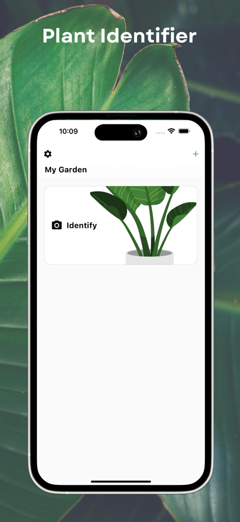 Plant identification app home screen featuring an identify button and botanical illustration