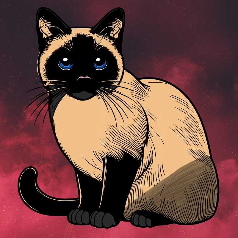 realistic siamese cat