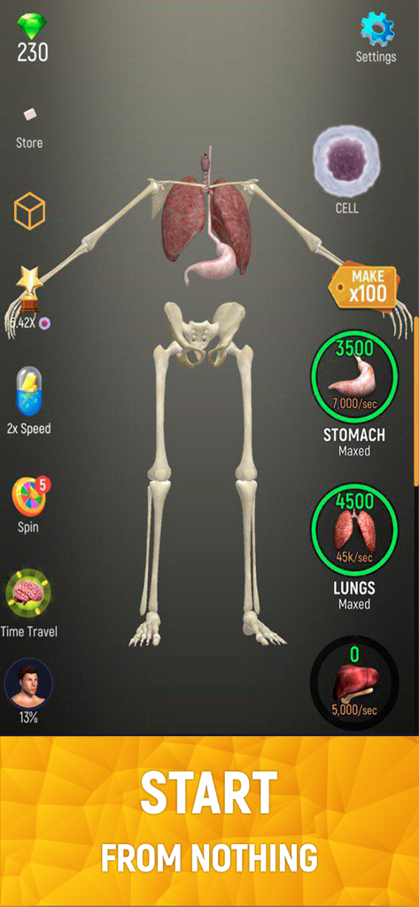 A 3D human skeleton being built with internal organs in the Idle Human game.