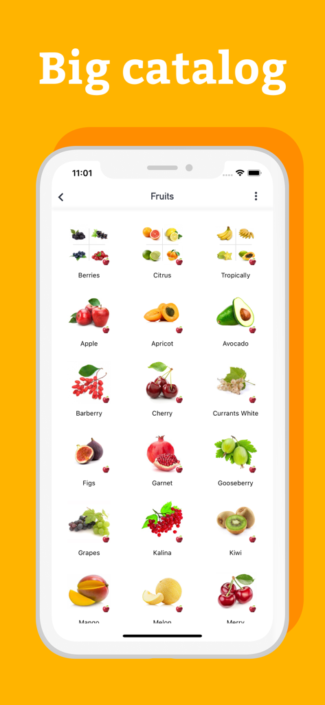 Grocery Shopping List - Pro - Ein Katalog von Früchten in der Grocery Shopping List Pro App, der verschiedene Artikel wie Äpfel, Beeren und Zitrusfrüchte mit Symbolen anzeigt