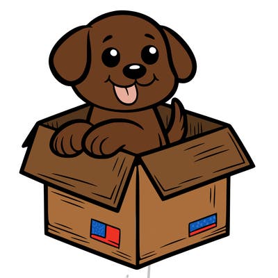 dog in a box