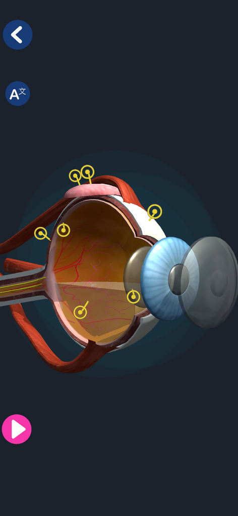 A detailed 3D cross-section of the human eye showing internal structures and interactive markers.