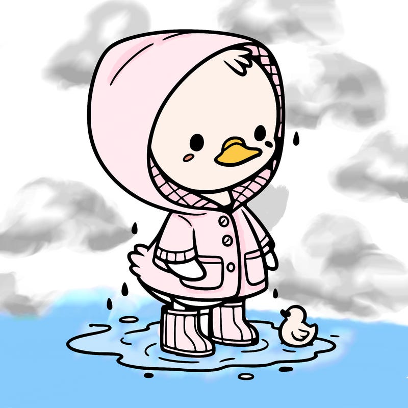 baby duck in a rain coat and boots, in a puddle while it’s raining