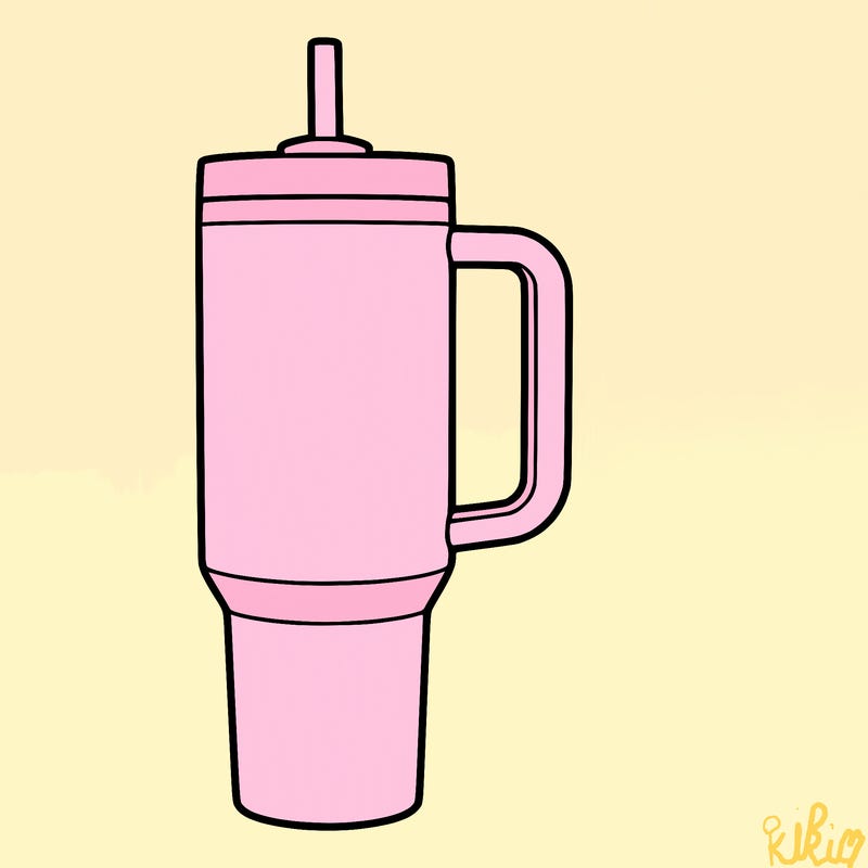 stanley water bottle