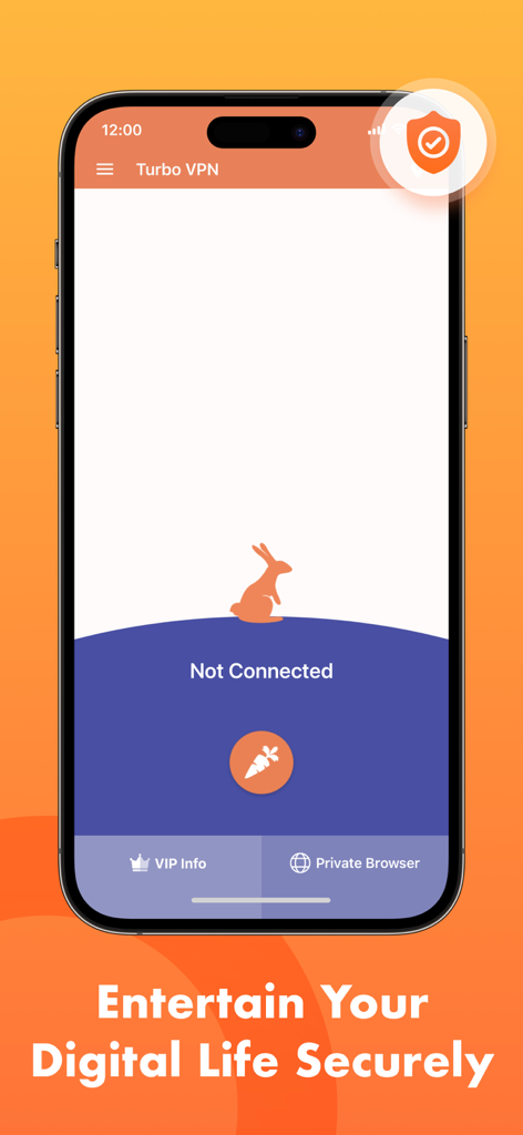 Turbo VPN app home screen on iPhone showing not connected status and rabbit icon
