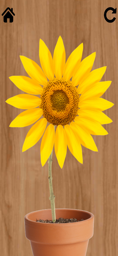 No Wifi Game: Offline Games 3D - A 3D yellow sunflower in a pot on a wooden background from the No Wifi Game app