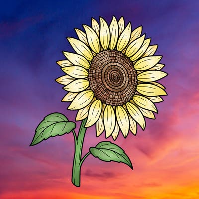 sunflower :