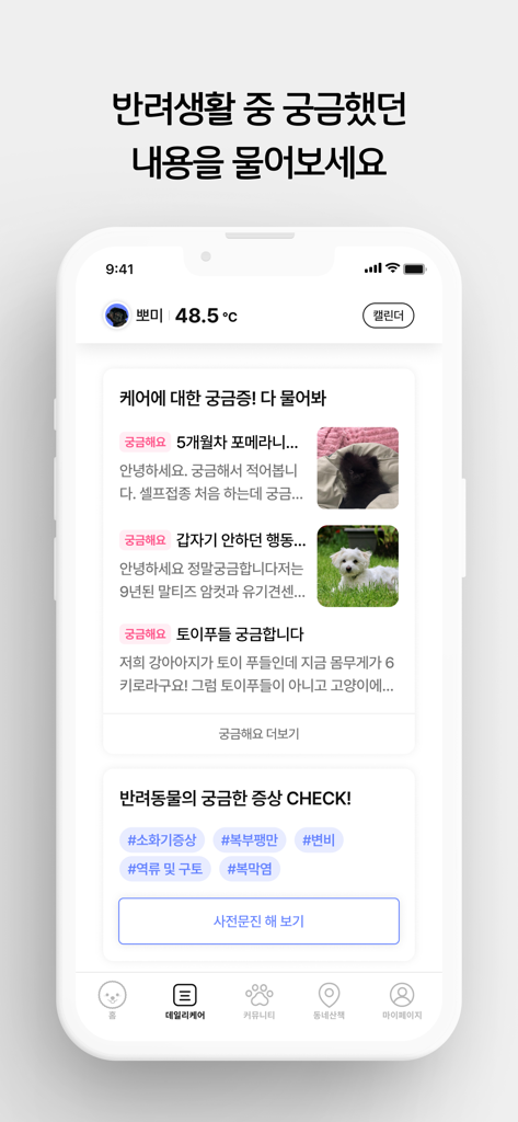 Affichage sur smartphone de l'application IntoPet montrant une section pour poser des questions sur les soins des animaux et un vérificateur de symptômes pour chiens