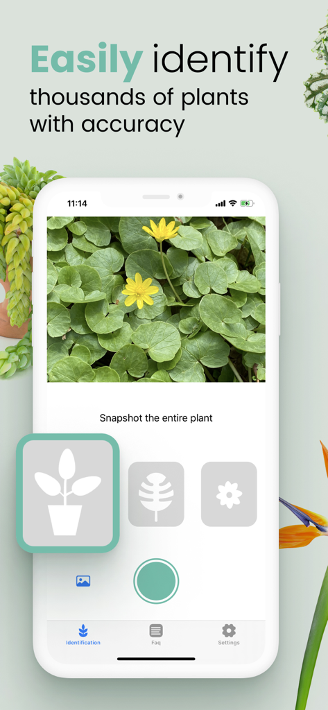 Plant ID Match: Identification - Smartphone screen showing the Plant ID Match app interface capturing a photo of a yellow flowering plant for identification