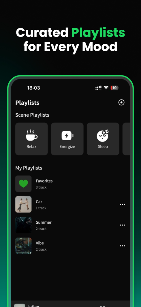 Spotube – Offline Music Player - Spotube app screen showing scene and custom music playlists in dark mode