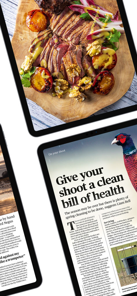 Digitale Seiten der Zeitschrift Shooting Times and Country mit Artikeln über Gourmet-Wildgerichte und Jagd auf iPad-Bildschirmen.