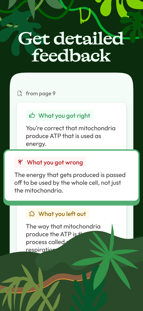 Jungle: AI Flashcards & Quiz - Detailed AI feedback screen in the Jungle app showing personalized analysis of correct and incorrect quiz answers.