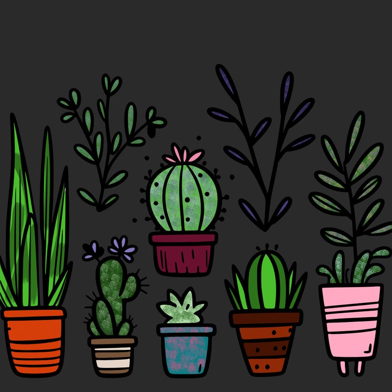 plants