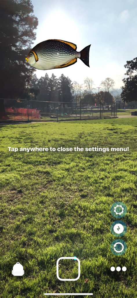 Magic Fish AR - Magic Fish AR app showing a 3D fish floating over a grassy park using augmented reality