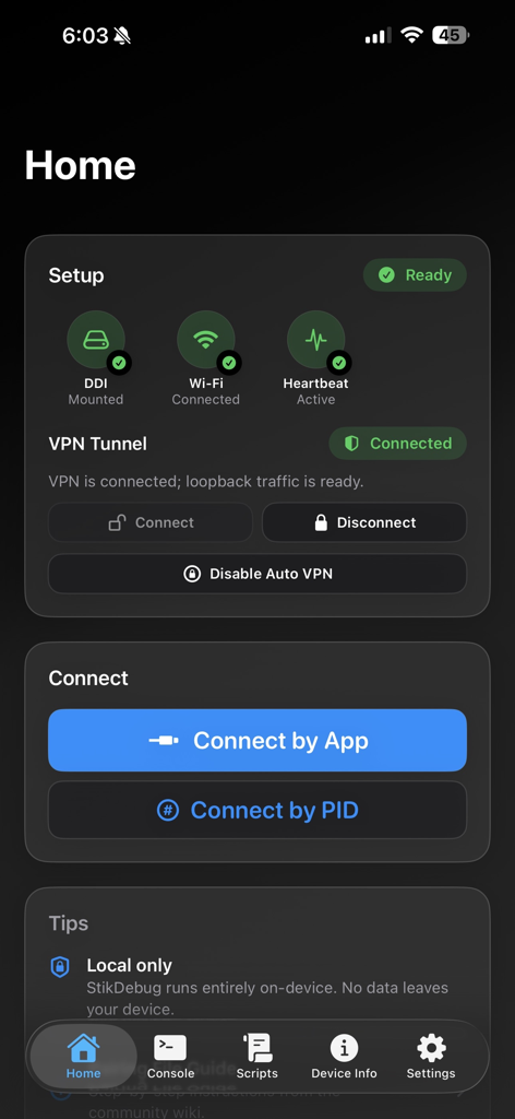 StikDebug - VPN 상태 및 앱 연결 도구를 보여주는 StikDebug의 홈 화면.