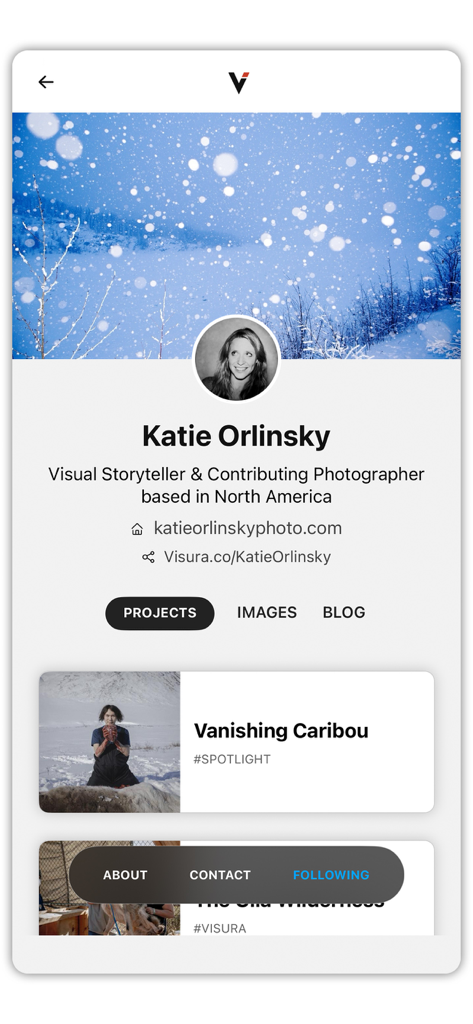 Visura - Un perfil de fotógrafo profesional en la aplicación Visura que presenta proyectos de narración visual