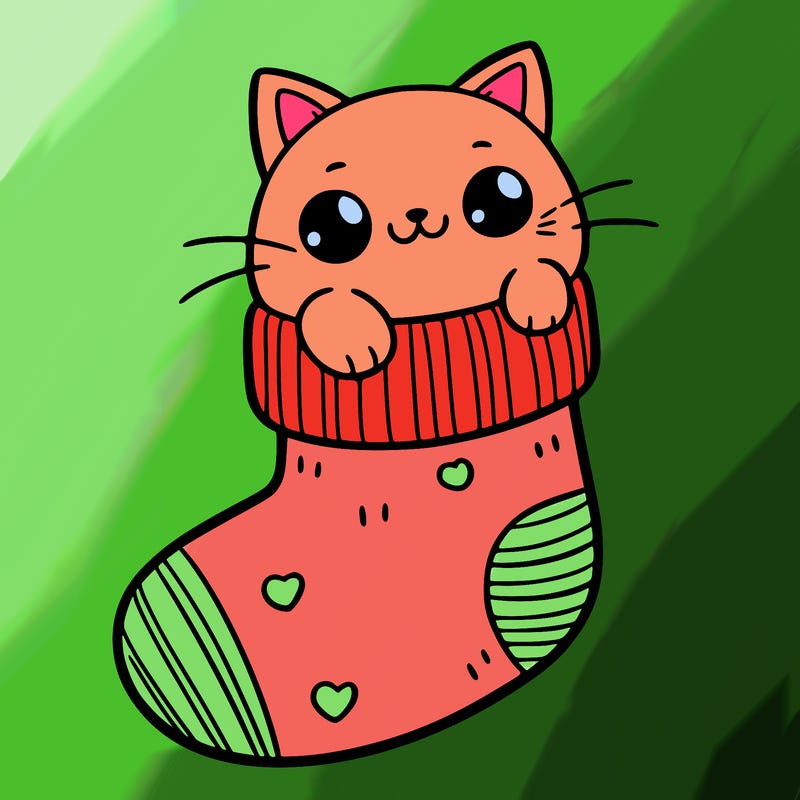 cute cat in a sock