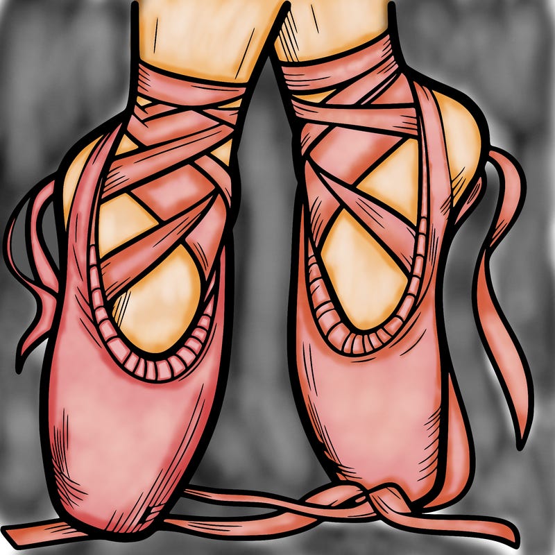 ballet shoes