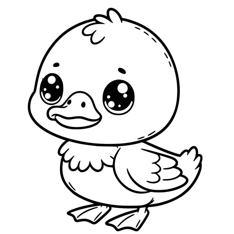 cute duck