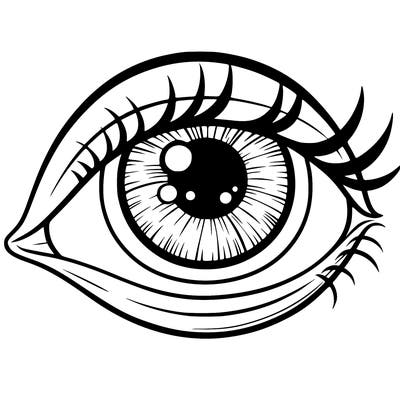 eye