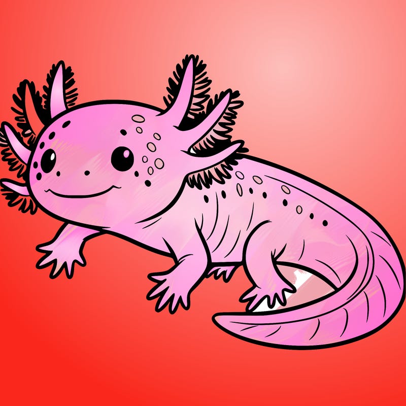 axolotl