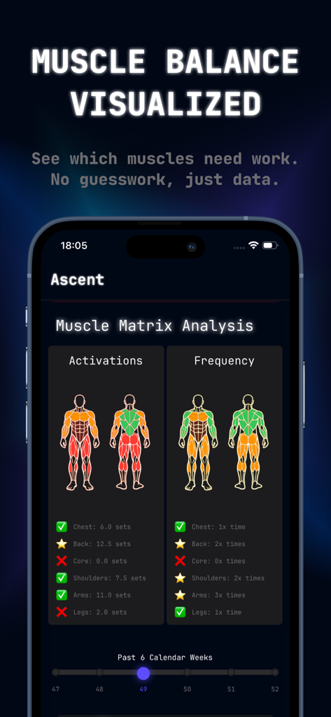 Ascend Gym Workout Tracker Log - Muscle Matrix Analysis screen in the Ascend app visualizing muscle activations and training frequency with color coded anatomical diagrams