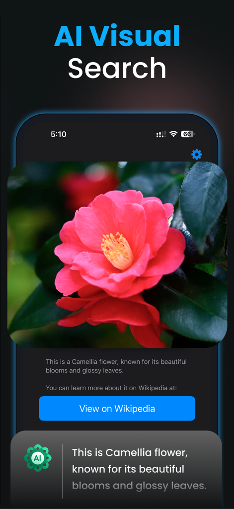 Chat AI+ Ask Chatbot Assistant - Chat AI visual search feature identifying a pink Camellia flower and providing botanical information