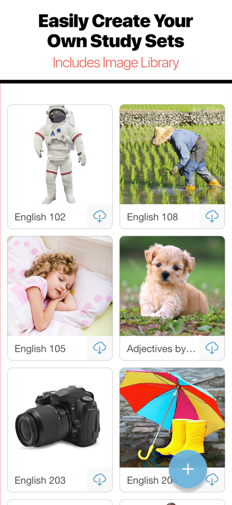 Bitsboard Flashcards PRO - Interface of Bitsboard app showing a grid of flashcard study sets with images of an astronaut, a puppy, and a camera.