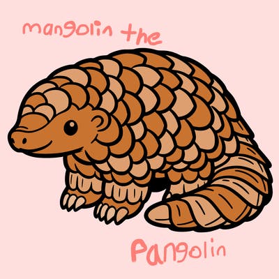 pangolin